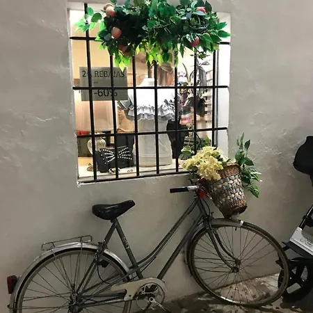 Daire Atico En Playa - Puerto De Campomanes